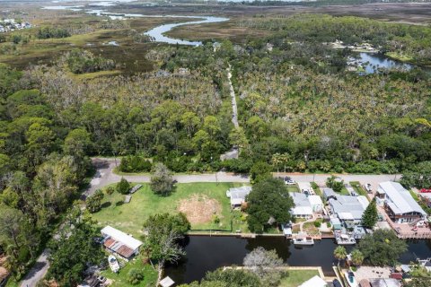 Land in Weeki Wachee, Florida № 1869203 - photo 7