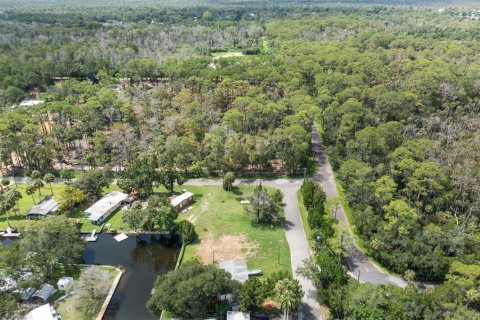 Land in Weeki Wachee, Florida № 1869203 - photo 4