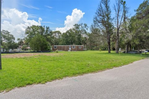 Land in Weeki Wachee, Florida № 1869203 - photo 15