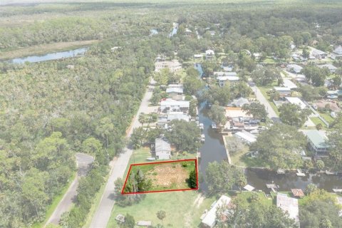 Land in Weeki Wachee, Florida № 1869203 - photo 11