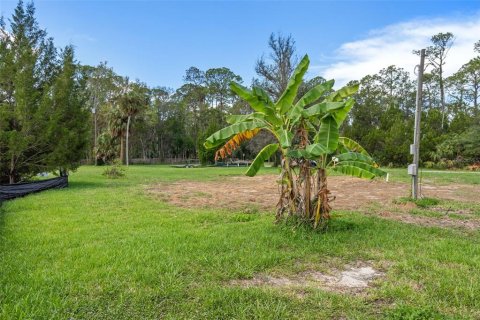 Land in Weeki Wachee, Florida № 1869203 - photo 16