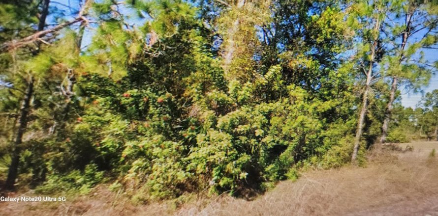Immobilier commercial à Lehigh Acres, Floride № 2087984