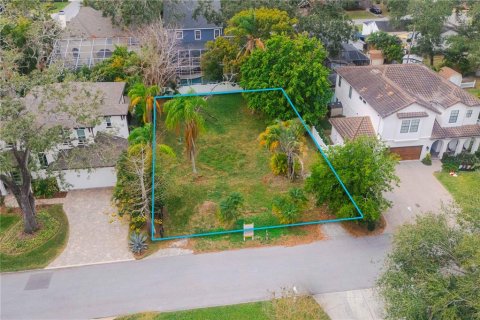 Land in Tampa, Florida № 1688568 - photo 1