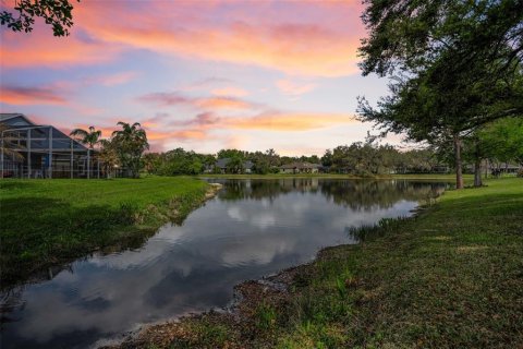 Villa ou maison à vendre à Fish Hawk, Floride: 3 chambres, 159.79 m2 № 2094321 - photo 5