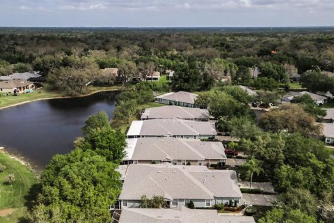 Villa ou maison à vendre à Fish Hawk, Floride: 3 chambres, 159.79 m2 № 2094321 - photo 10