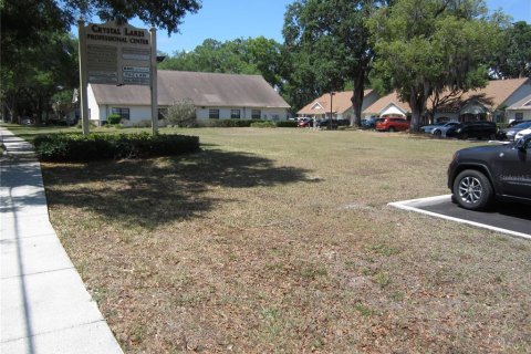Terreno en venta en Lutz, Florida № 393770 - foto 1
