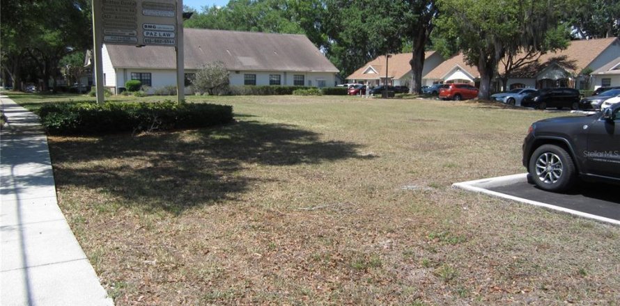 Terreno en Lutz, Florida № 393770
