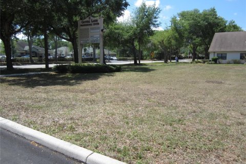 Terreno en venta en Lutz, Florida № 393770 - foto 3