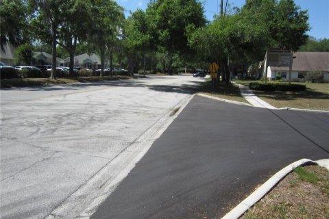 Terreno en venta en Lutz, Florida № 393770 - foto 6