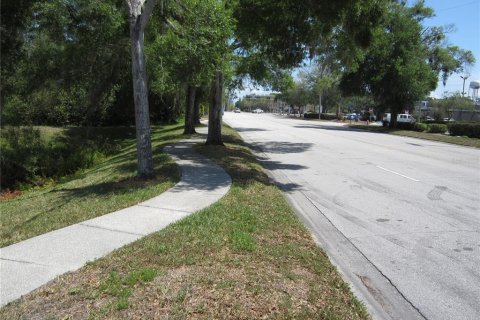 Terreno en venta en Lutz, Florida № 393770 - foto 5