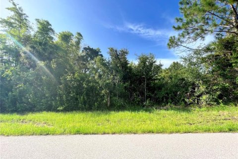 Land in Port Charlotte, Florida № 2162307
