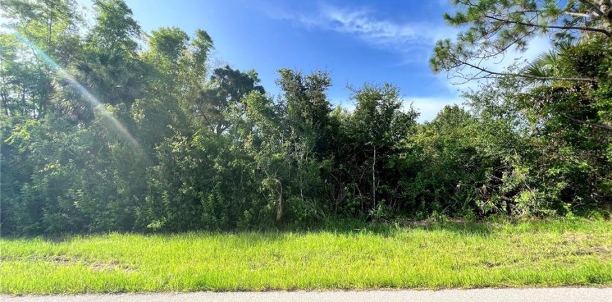 Land in Port Charlotte, Florida № 2162307