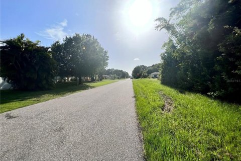 Land in Port Charlotte, Florida № 2162307 - photo 4