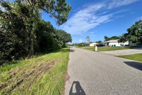 Land in Port Charlotte, Florida № 2162307 - photo 3