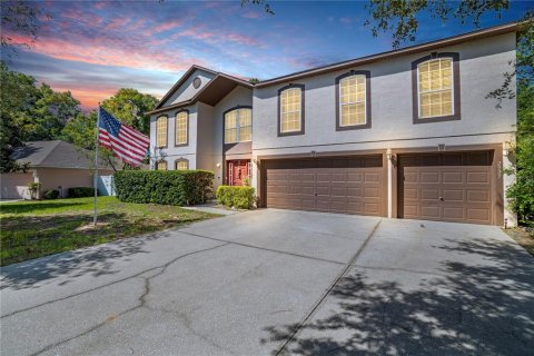Casa en Ocala, Florida 6 dormitorios, 363.34 m2 № 2102557