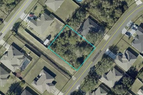 Terreno en Palm Coast, Florida № 2149679