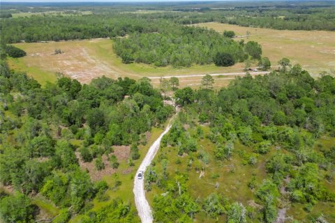 Land in Polk City, Florida № 1742776 - photo 23