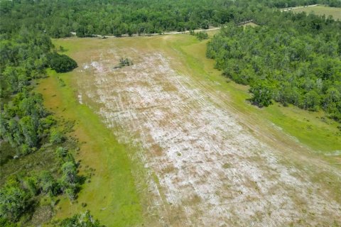 Land in Polk City, Florida № 1742776 - photo 24