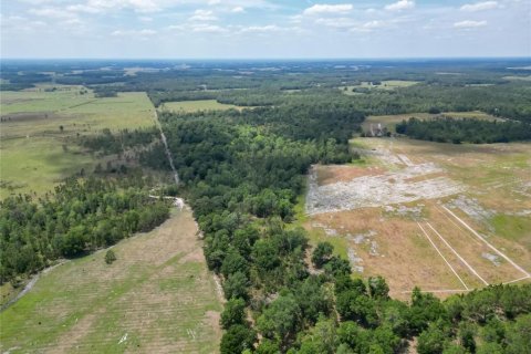 Land in Polk City, Florida № 1742776 - photo 12