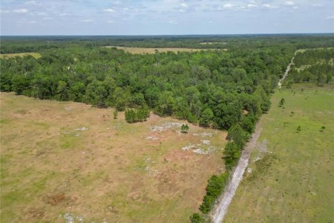 Land in Polk City, Florida № 1742776 - photo 15