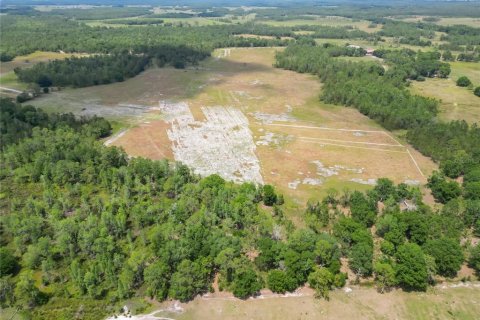 Land in Polk City, Florida № 1742776 - photo 10