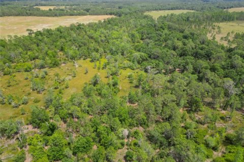 Land in Polk City, Florida № 1742776 - photo 18