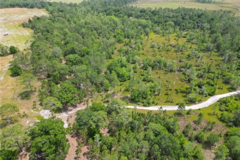Land in Polk City, Florida № 1742776 - photo 28