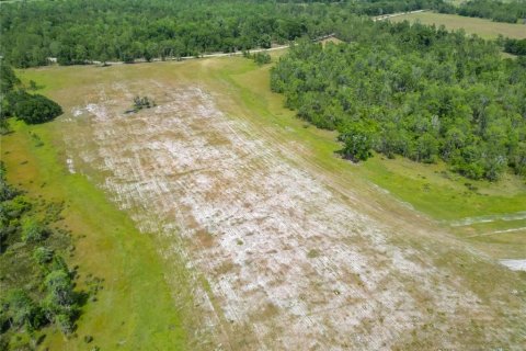 Land in Polk City, Florida № 1742776 - photo 30