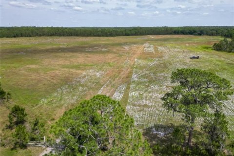 Land in Polk City, Florida № 1742776 - photo 5