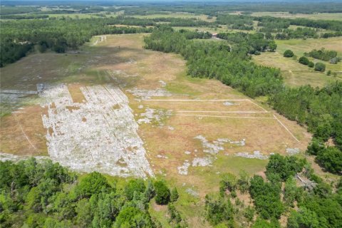 Land in Polk City, Florida № 1742776 - photo 9