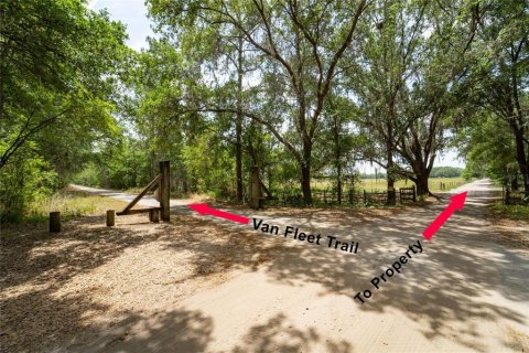 Land in Polk City, Florida № 1742776 - photo 2