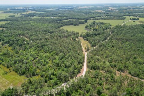 Land in Polk City, Florida № 1742776 - photo 14