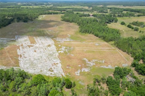 Land in Polk City, Florida № 1742776 - photo 8