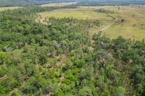Land in Polk City, Florida № 1742776 - photo 19