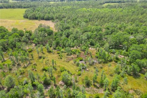 Land in Polk City, Florida № 1742776 - photo 26