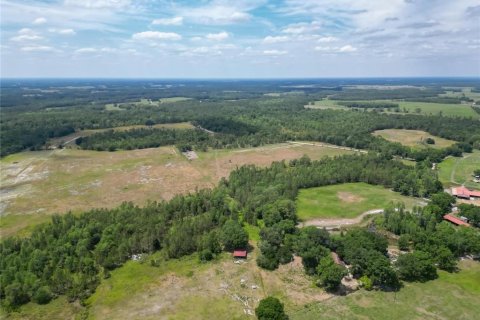 Land in Polk City, Florida № 1742776 - photo 13