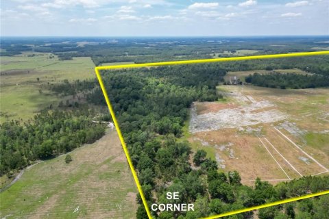 Land in Polk City, Florida № 1742776 - photo 11
