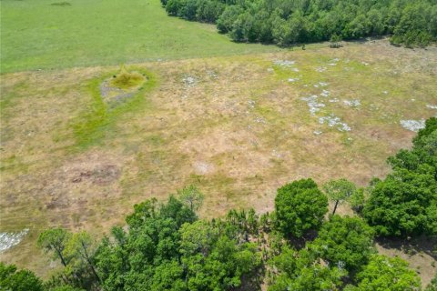 Land in Polk City, Florida № 1742776 - photo 22