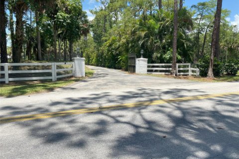 Apartment in Loxahatchee Groves, Florida 2 bedrooms, 437.76 sq.m. № 2254312 - photo 2