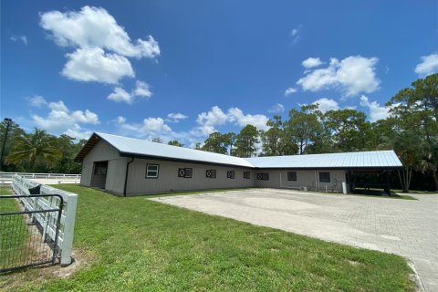 Apartment in Loxahatchee Groves, Florida 2 bedrooms, 437.76 sq.m. № 2254312