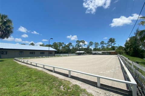 Apartment in Loxahatchee Groves, Florida 2 bedrooms, 437.76 sq.m. № 2254312 - photo 8