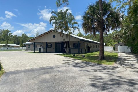 Apartment in Loxahatchee Groves, Florida 2 bedrooms, 437.76 sq.m. № 2254312 - photo 6