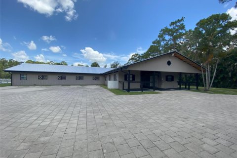 Apartment in Loxahatchee Groves, Florida 2 bedrooms, 437.76 sq.m. № 2254312 - photo 5