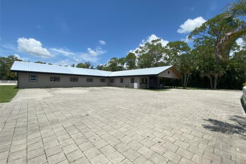 Apartment in Loxahatchee Groves, Florida 2 bedrooms, 437.76 sq.m. № 2254312 - photo 4