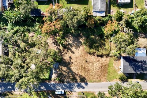 Land in Lakeland, Florida № 2104014