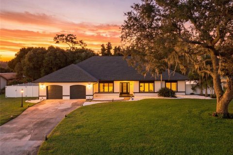 Villa ou maison à Haines City, Floride 4 chambres, 266.63 m2 № 2426955