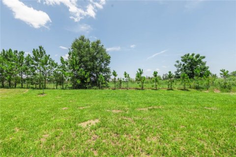 Villa ou maison à vendre à Bartow, Floride: 4 chambres, 242.66 m2 № 2299423 - photo 29