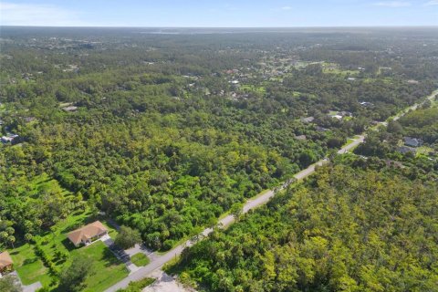 Land in Naples, Florida № 1899461 - photo 5