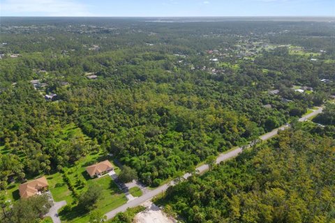 Land in Naples, Florida № 1899461 - photo 1