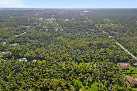 Land in Naples, Florida № 1899461 - photo 2